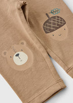 Trenerka - Brown bear