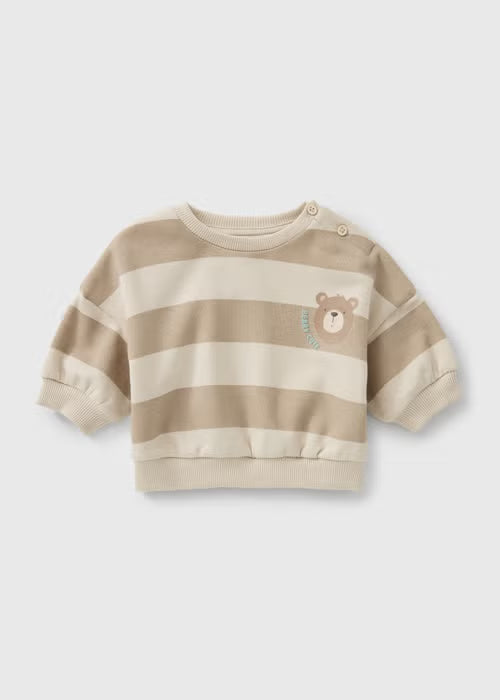 Trenerka - Brown bear