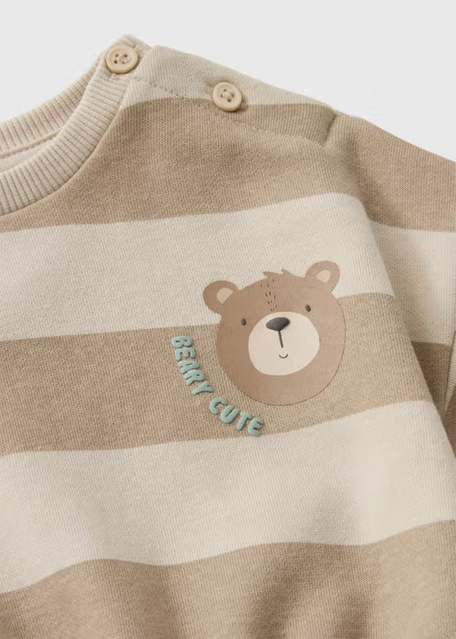 Trenerka - Brown bear